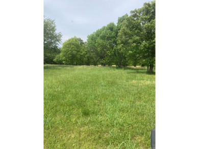 Lake Acreage For Sale in Mountain View, Arkansas