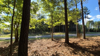 (private lake, pond, creek) Lot For Sale in Jasper Tennessee