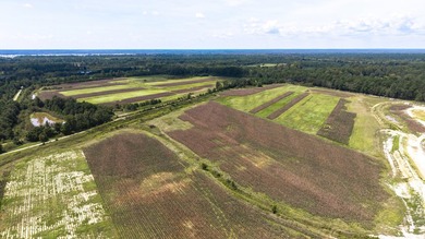 Two Ponds Duck Club is a premier duck hunting tract totaling 650 - photo 35