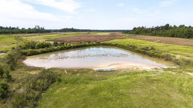 Two Ponds Duck Club is a premier duck hunting tract totaling 650 - photo 38