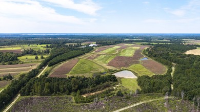 Two Ponds Duck Club is a premier duck hunting tract totaling 650 - photo 41