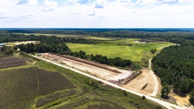 Two Ponds Duck Club is a premier duck hunting tract totaling 650 - photo 45