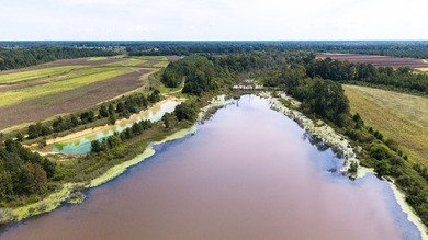 Two Ponds Duck Club is a premier duck hunting tract totaling 650 - photo 46