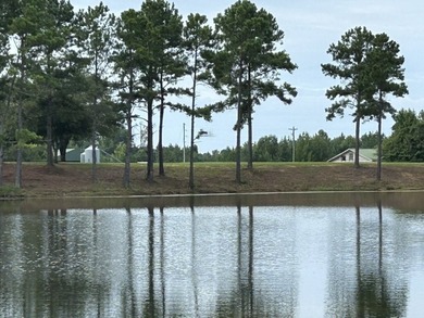 Two Ponds Duck Club is a premier duck hunting tract totaling 650 - photo 48