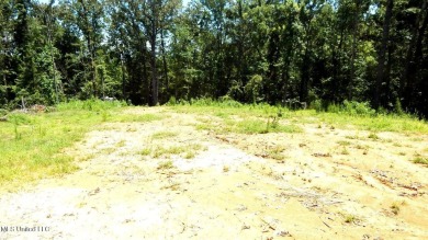 Lake Acreage For Sale in Sardis, Mississippi