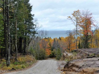 Lake Superior - Alger County Acreage For Sale in Grand Marais Michigan