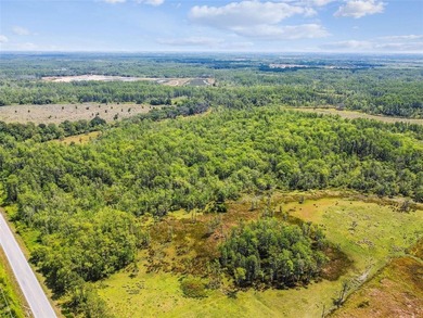 The St Rd 557 Lake Alfred property (Parcel ID: - photo 11