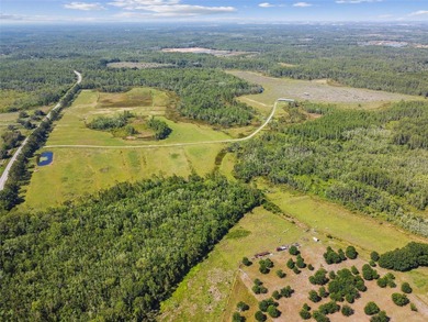 The St Rd 557 Lake Alfred property (Parcel ID: - photo 13