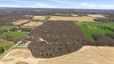 Just over 9 acres of vacant land offering endless possibilities - photo 4