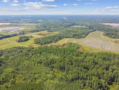 The St Rd 557 Lake Alfred property (Parcel ID: - photo 14