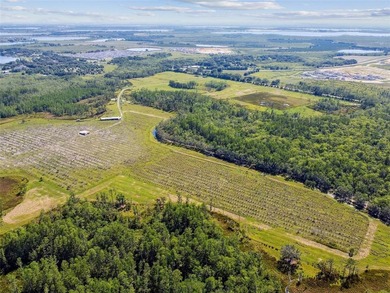 The St Rd 557 Lake Alfred property (Parcel ID: - photo 15