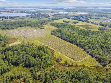 The St Rd 557 Lake Alfred property (Parcel ID: - photo 16
