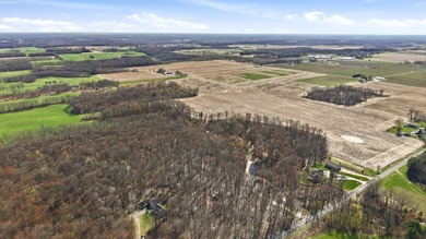 Just over 9 acres of vacant land offering endless possibilities - photo 8