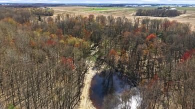 Just over 9 acres of vacant land offering endless possibilities - photo 10