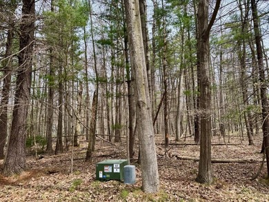 Positioned just across the road from the serene shores of Lake - photo 1