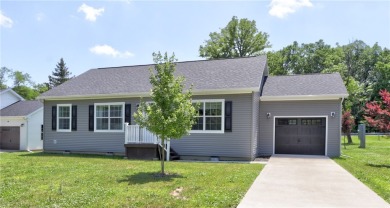 Lake Home For Sale in Milo, New York