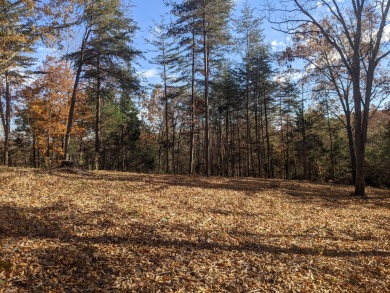 Lake Acreage For Sale in Burkesville, Kentucky