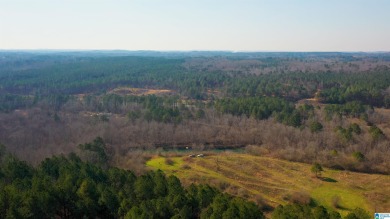 Locust Fork River - Jefferson County Acreage For Sale in Graysville Alabama