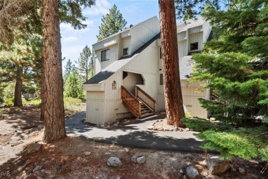 Lake Tahoe - Washoe County Condo For Sale in Incline Village Nevada