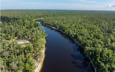 Beautiful 3/2 home in 55+ community on the historic Suwannee - photo 34