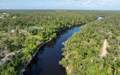 Beautiful 3/2 home in 55+ community on the historic Suwannee - photo 35