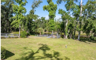 Beautiful 3/2 home in 55+ community on the historic Suwannee - photo 46