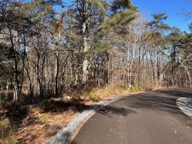 Lake Lot For Sale in Blue Ridge, Georgia