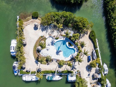 Manatee Bay Club Marina - Rare Investment Opportunity in the - photo 2