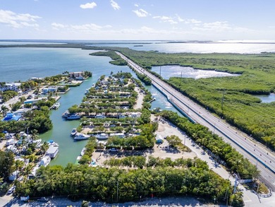 Manatee Bay Club Marina - Rare Investment Opportunity in the - photo 3