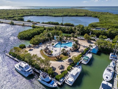 Manatee Bay Club Marina - Rare Investment Opportunity in the - photo 5