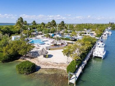 Manatee Bay Club Marina - Rare Investment Opportunity in the - photo 9