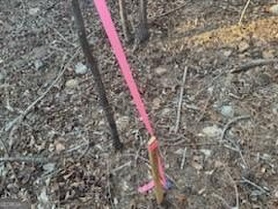 (private lake, pond, coastal) Acreage Sale Pending in Molena Georgia