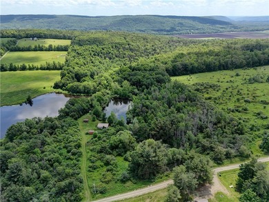 (private lake, pond, coastal) Acreage Sale Pending in Prattsburgh New York