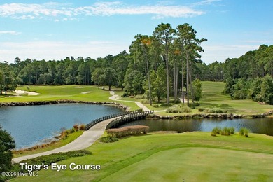 Luxury Coral Bay design by Horizon Homes in Barrington Place - photo 24