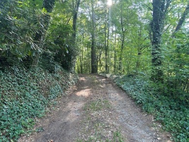 Looking for a project while enjoying mountain and valley views