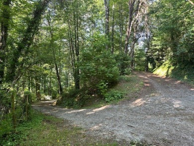 Looking for a project while enjoying mountain and valley views