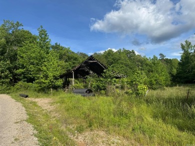 Lake Acreage For Sale in Oden, Arkansas
