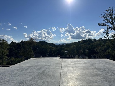 Tennessee River - Hamilton County Home For Sale in Chattanooga Tennessee