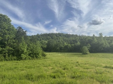 Lake Acreage For Sale in Oden, Arkansas
