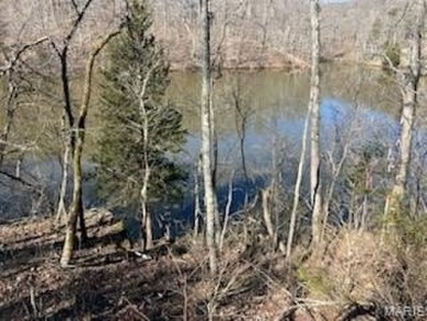 Lake Lot For Sale in Lake Sherwood, Missouri
