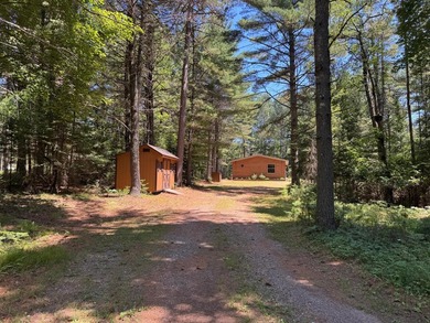 Tomahawk Riverfront Home- the perfect Northwoods retreat where - photo 10