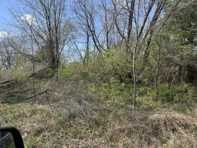 Lake Lot For Sale in Sturgis, Michigan