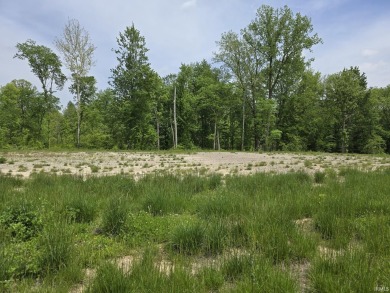 Lake Lot For Sale in Kendallville, Indiana