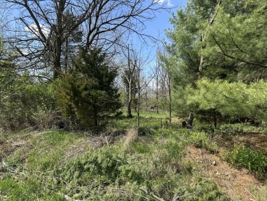 Lake Lot For Sale in Sturgis, Michigan