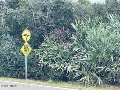 This 100' Waterfront lot is located on the No Drive Beach at the - photo 4