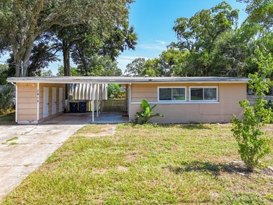 3 bedroom on nearly a quarter acre with no HOA and a real path - photo 2