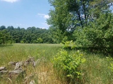 (private lake, pond, creek) Acreage Sale Pending in Wayland Michigan