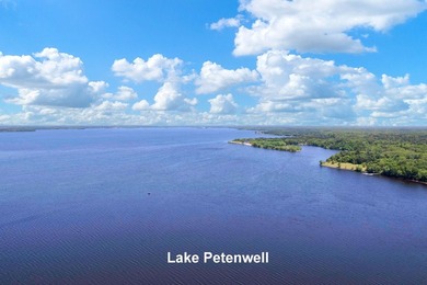 Town of Monroe Homesite/Campsite! Oh so close to Lake Petenwell - photo 13