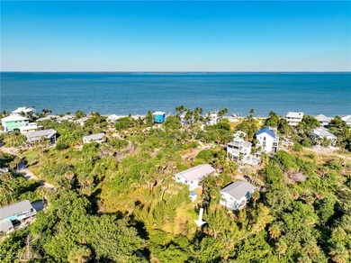 Great Value for a building lot on North Captiva Island! This - photo 8