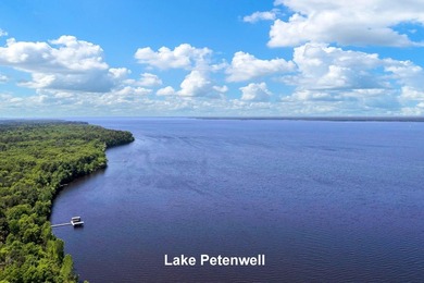 Town of Monroe Homesite/Campsite! Oh so close to Lake Petenwell - photo 25